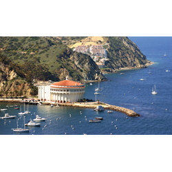 Discover Local Diving(3 To 8 Divers) Catalina Island-casino Point